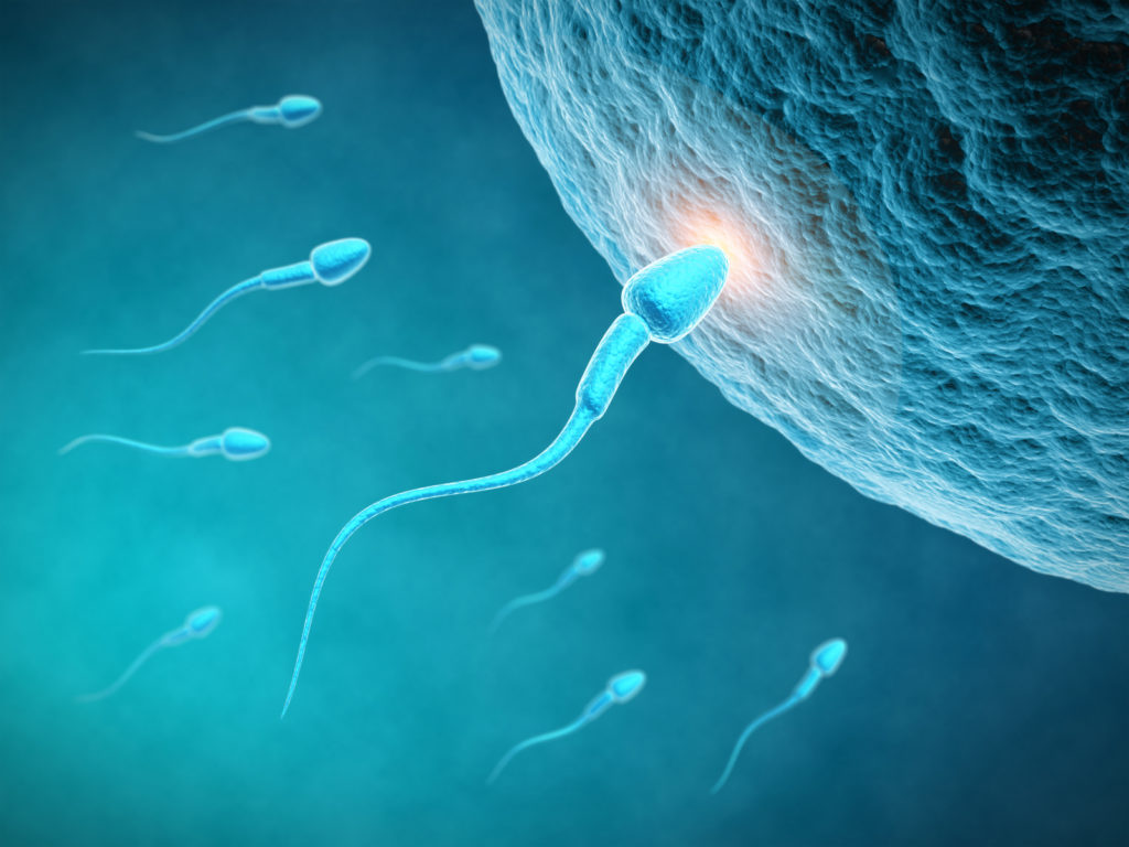 How should I choose a sperm donor or egg donor?