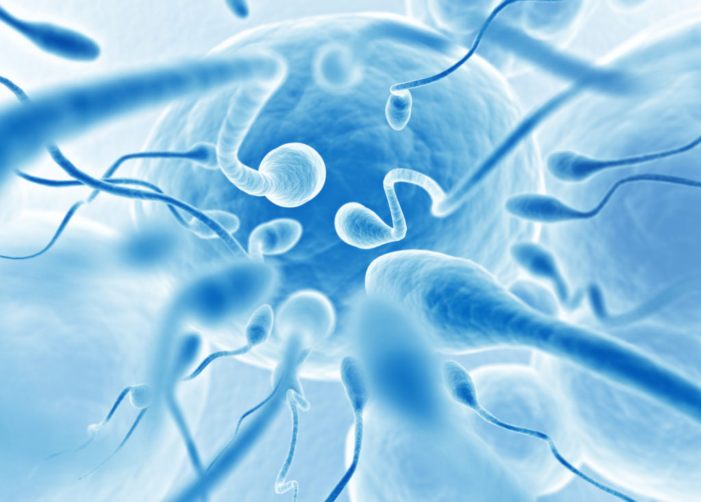 sperm bank policies, how to chose a sperm bank